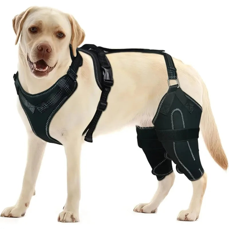 Dog ACL Knee Brace for Torn  Back Leg-Warm Joint - Relieves Joint Pain