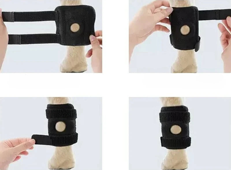 Arthritis Support Protector Bandage For Dog Legs