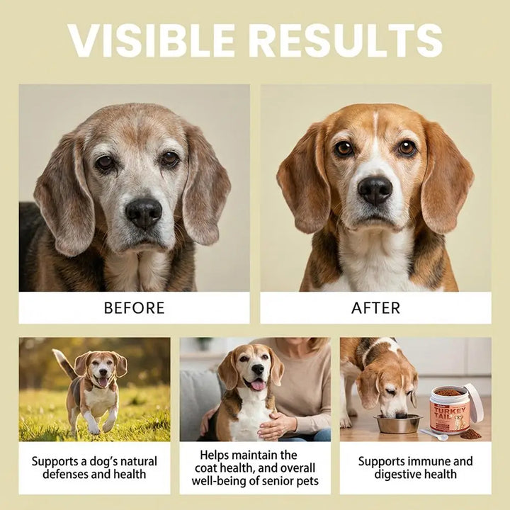 Dog Immune Support Supplement – Easy-Mix Powder