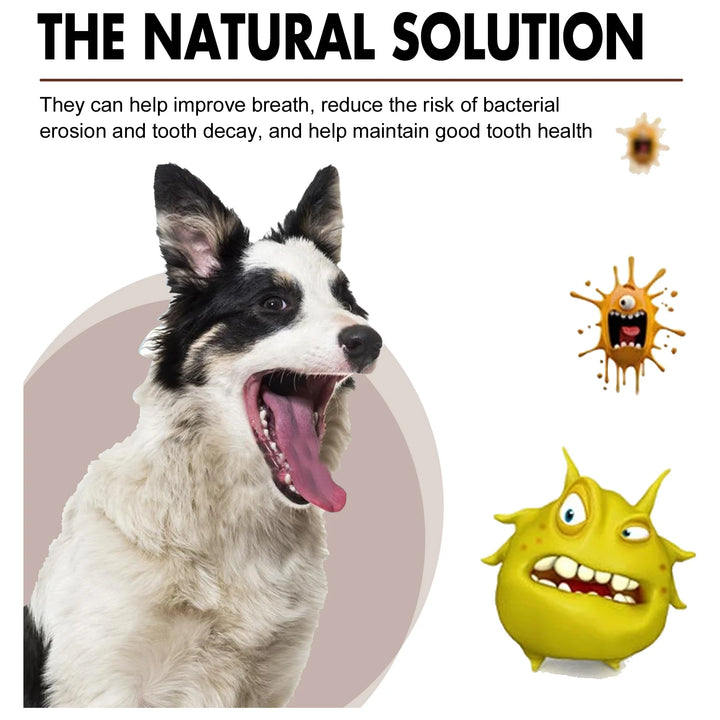 Dogs/Cats Tooth Cleaning Spray - Remove Bad Breath Care