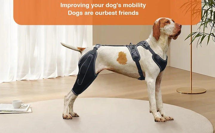 Dog Acl Knee Brace for Torn Acl Leg,Dog Knee Braces for Back Leg Warm Joint and Relieves Joint Pain,Better Recovery For Puppy