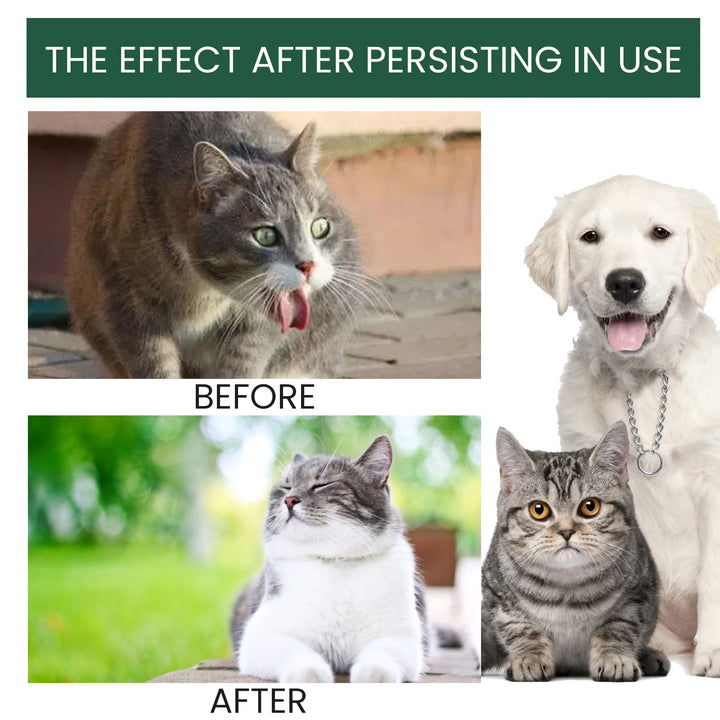Bad Breath Solution for Cats and Dogs