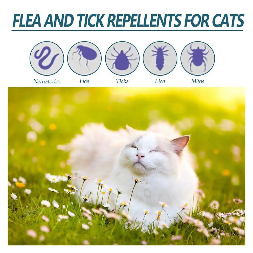 Pet Flea Killer Drops Anti Fleas Cats Ticks Lice Mite Removal Relieve Itching Dogs Ringworm Treatment Pet Insect Removal Drops