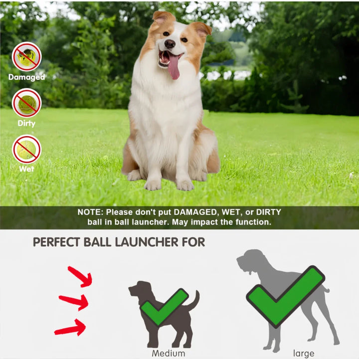 Automatic Dog Ball Throwing Machine, Rechargable. USB Charging