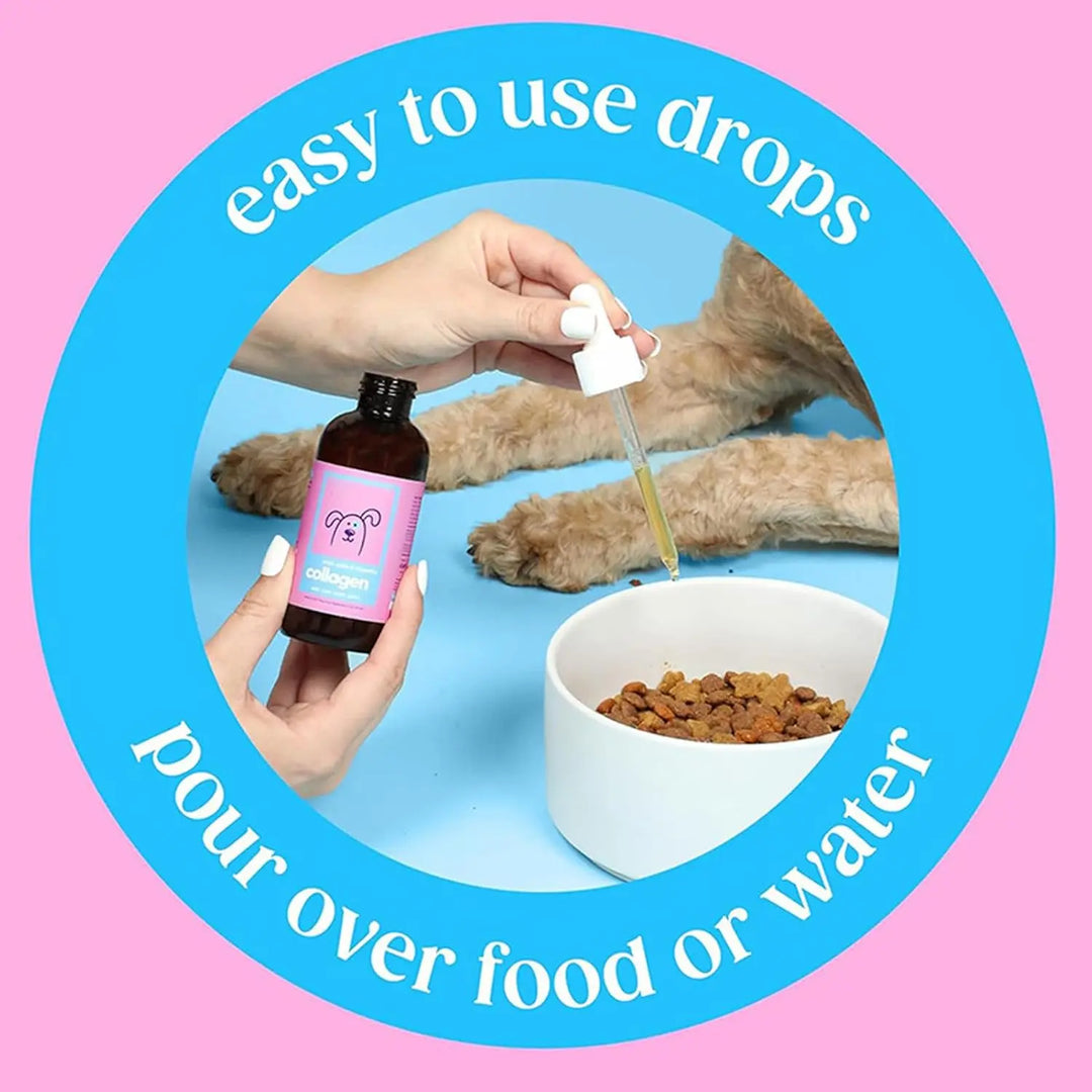 Collagen for Dogs Skin Coat Supplement