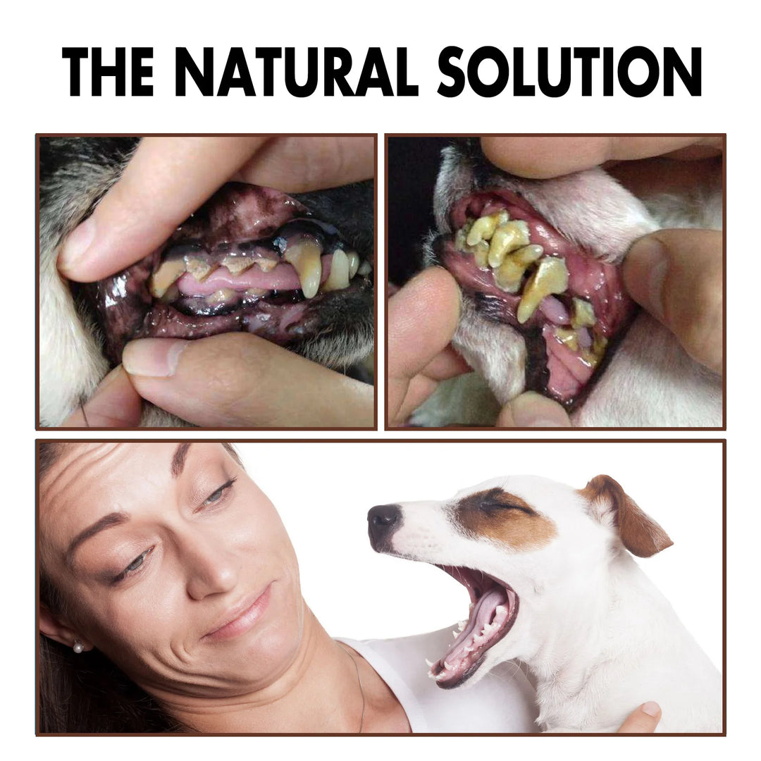 Dogs/Cats Tooth Cleaning Spray - Remove Bad Breath Care