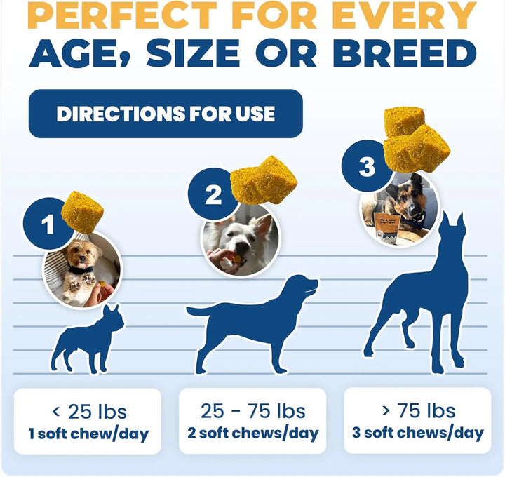 Hip & Joint Supplement for Dogs Joint
