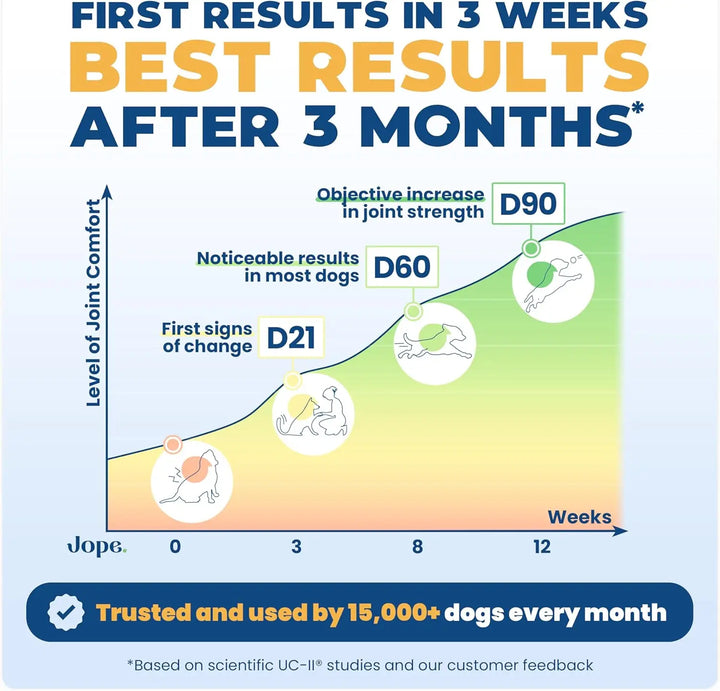Hip & Joint Supplement for Dogs Joint