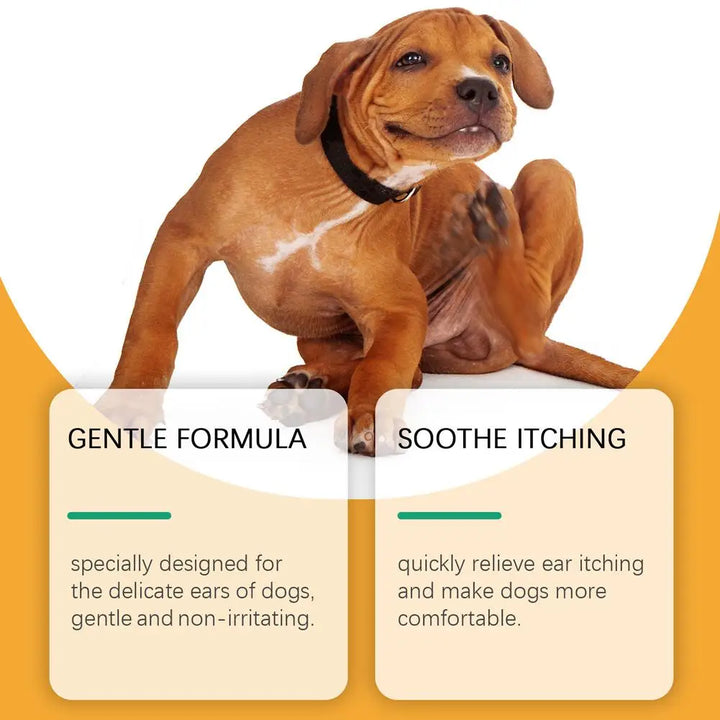 Drops for Yeast Infection On Dogs Ears