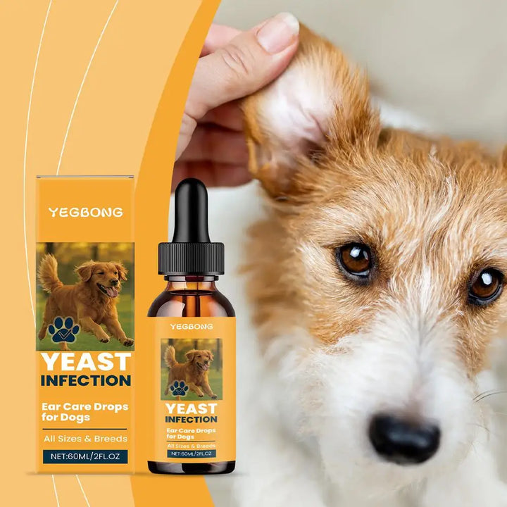 Drops for Yeast Infection On Dogs Ears