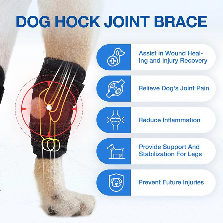 Arthritis Support Protector Bandage For Dog Legs