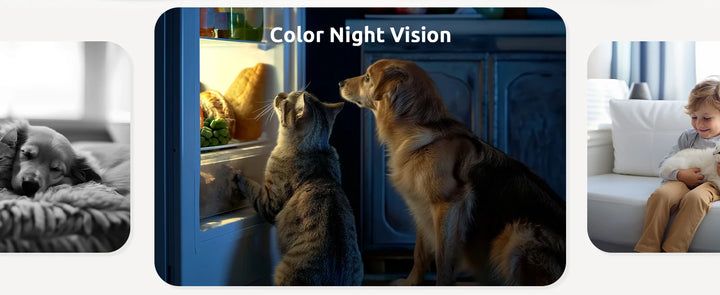BoyKeep Pet Camera 2K, 360° Indoor Security Dog Camera with Phone App