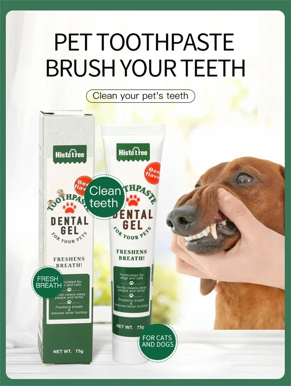 Cat Dog Toothpaste cleaning-Beef Flavor