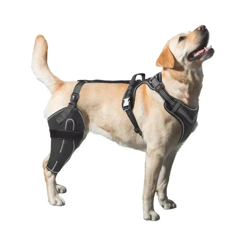 Dog Acl Knee Brace for Torn Acl Leg,Dog Knee Braces for Back Leg Warm Joint and Relieves Joint Pain,Better Recovery For Puppy