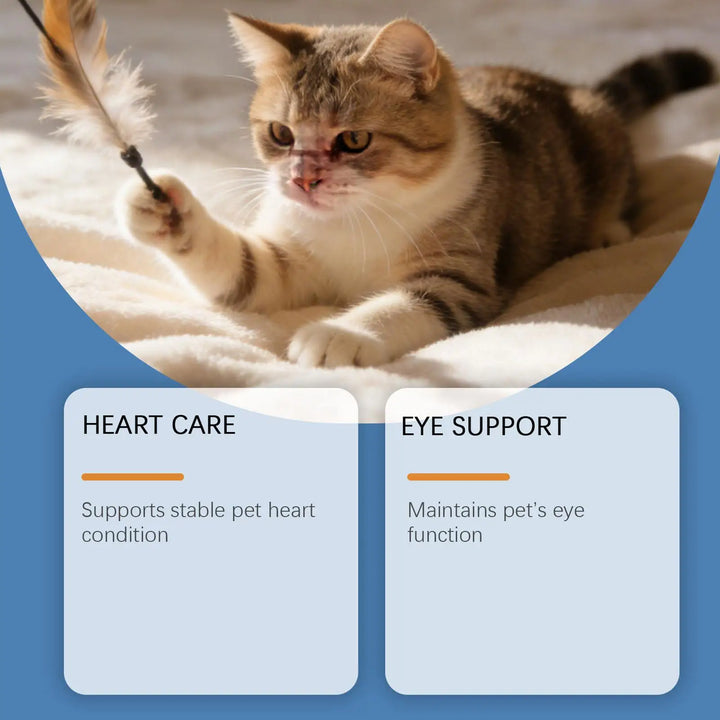 Cat Taurine Powder Support For Pet Heart Health.