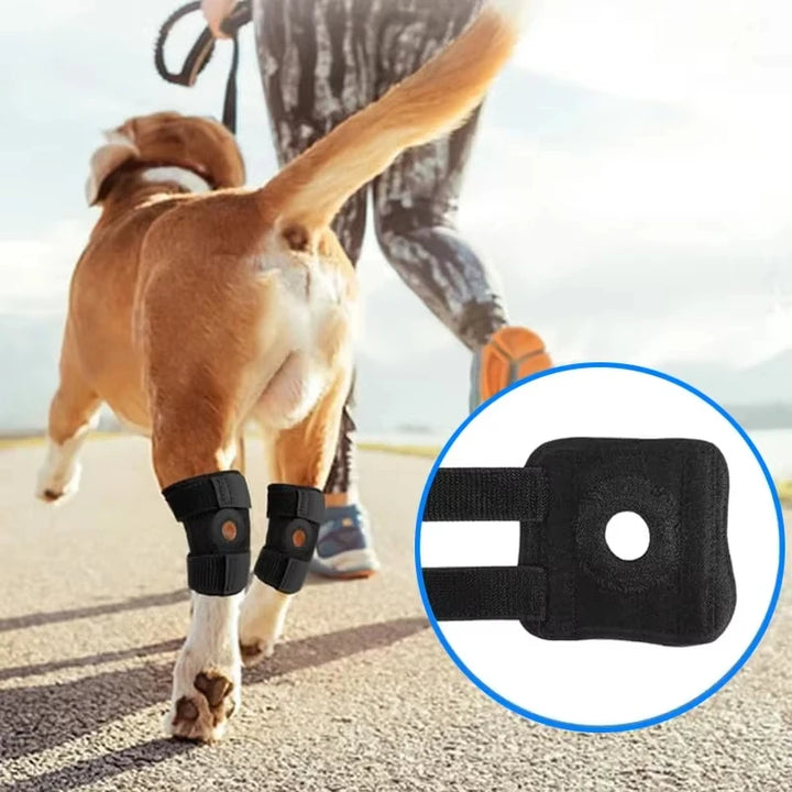 Arthritis Support Protector Bandage For Dog Legs