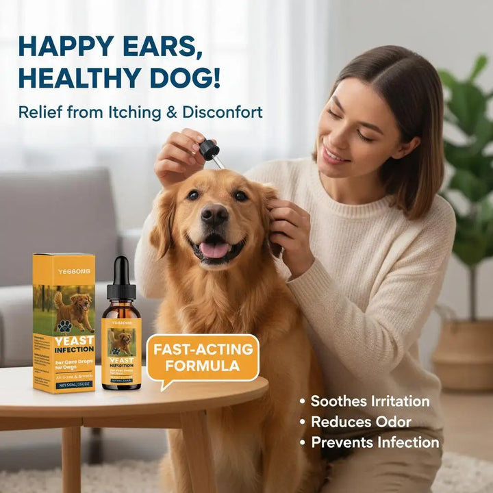 Drops for Yeast Infection On Dogs Ears