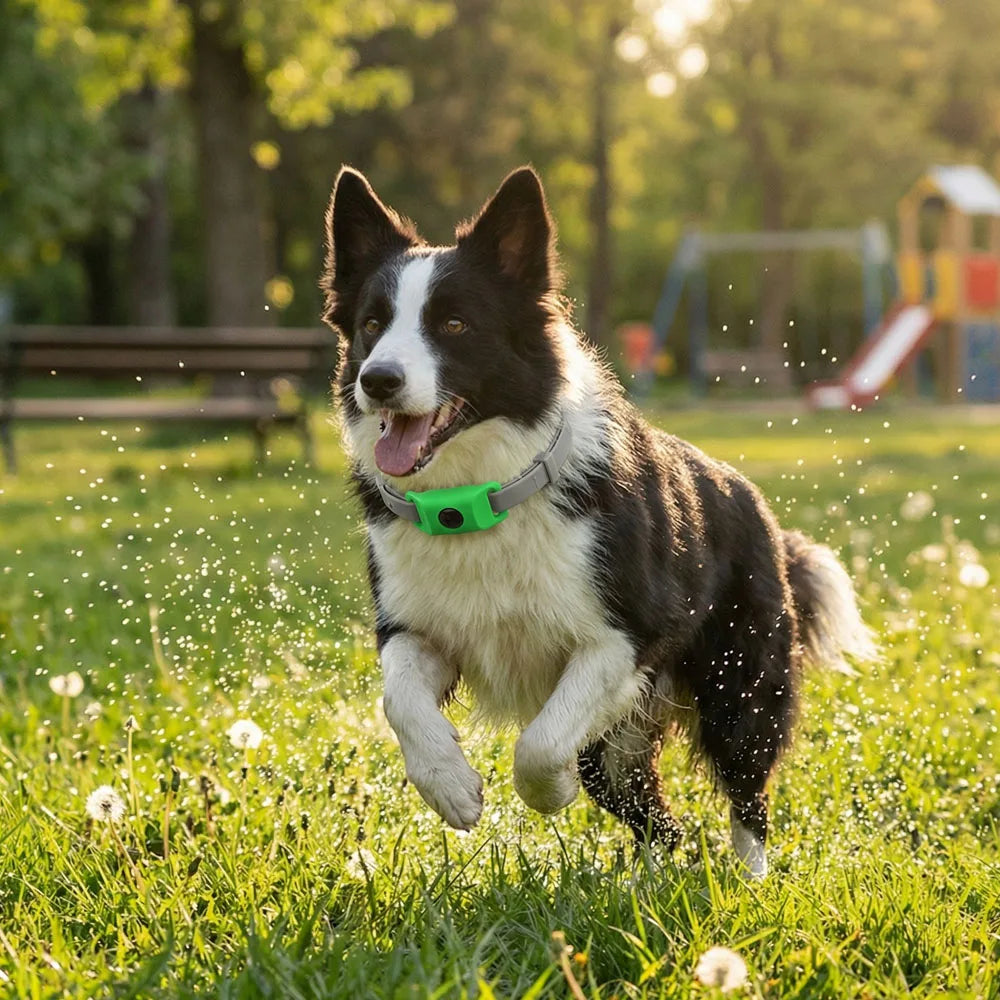 Natural Pet Flea & Tick Control Set Long-Lasting Parasite Prevention