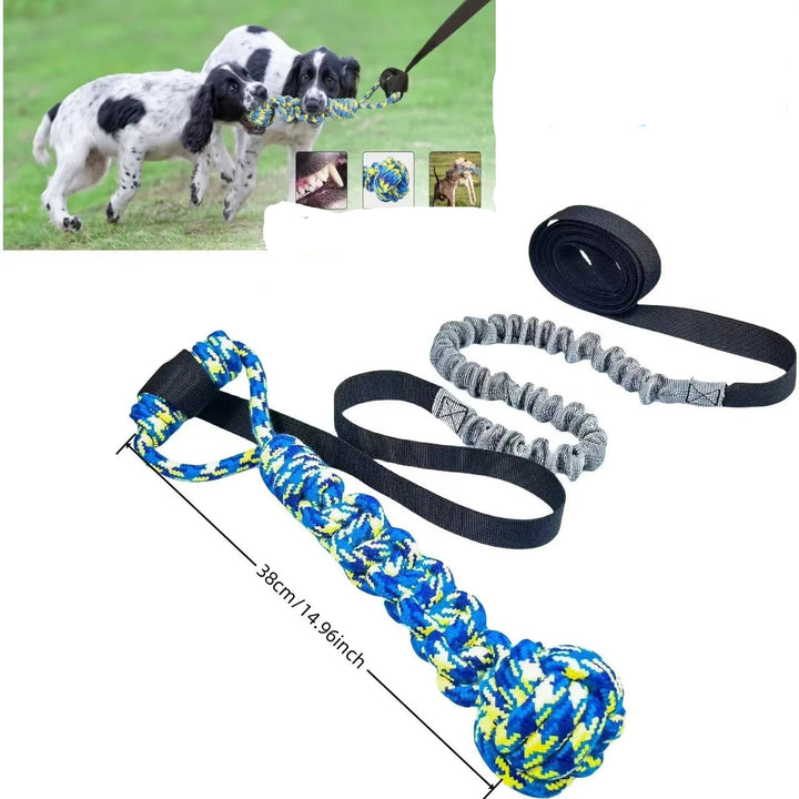 Outdoor Bungee Tug Toy, Dog Toy Hanging from Tree for Small to Large Dogs, Interactive Exercise Play Cord & Tether with Chew Rop