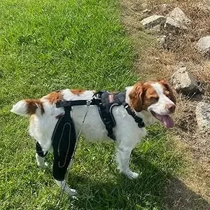 Dog Acl Knee Brace for Torn Acl Leg,Dog Knee Braces for Back Leg Warm Joint and Relieves Joint Pain,Better Recovery For Puppy