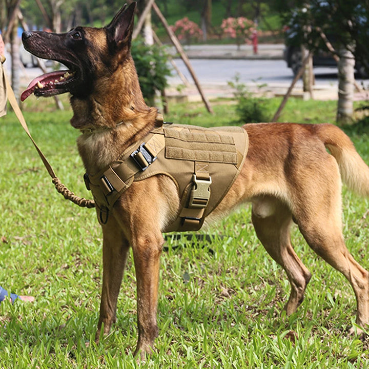 Large Dog Harness And Leash Set Pet German Shepherd Malinois Training