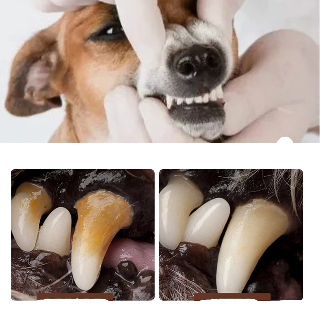 Dogs/Cats Tooth Cleaning Spray - Remove Bad Breath Care