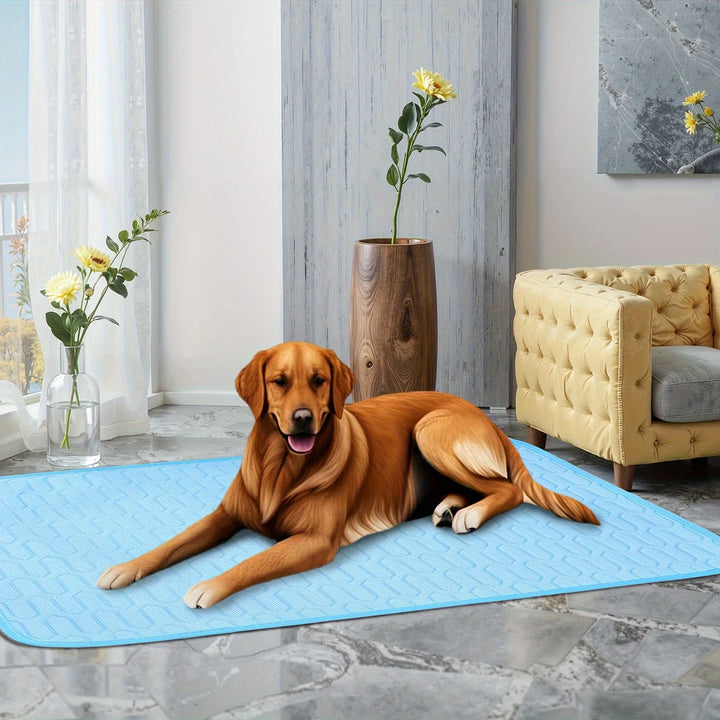 2025 Upgraded Ice-Cool Summer Pet Cooling Mat and Bed Sweat-Absorbent Fabric Available in 4 Sizes for Small Medium and Large Pet