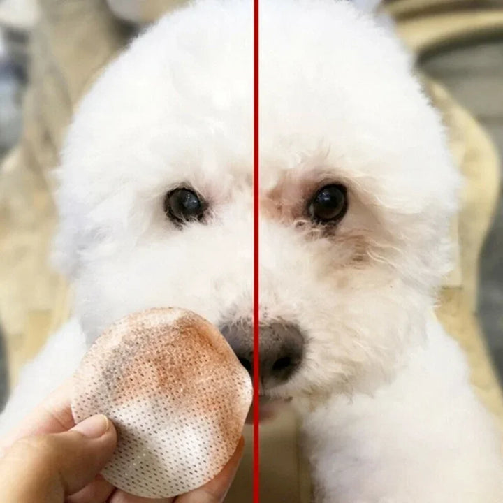 Dog and Cat Cleaning Wipes-Tear Stain Remover