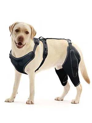 Dog Acl Knee Brace for Torn Acl Leg,Dog Knee Braces for Back Leg Warm Joint and Relieves Joint Pain,Better Recovery For Puppy