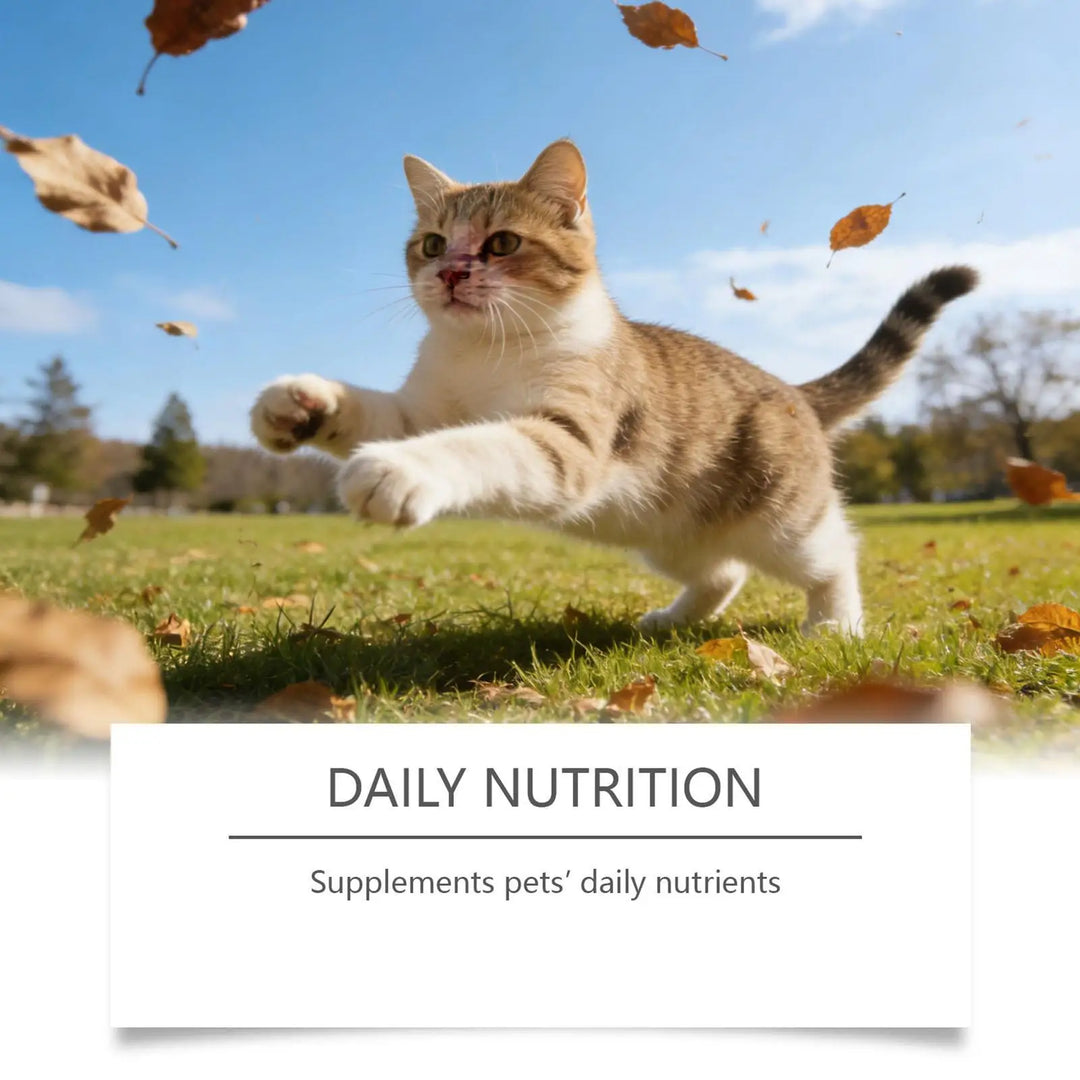 Cat Taurine Powder Support For Pet Heart Health.