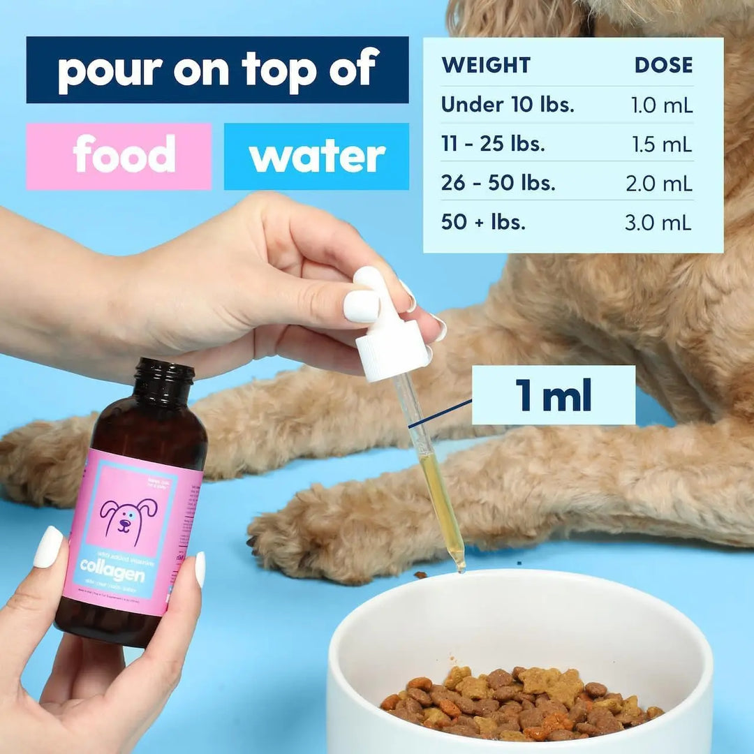 Collagen for Dogs Skin Coat Supplement