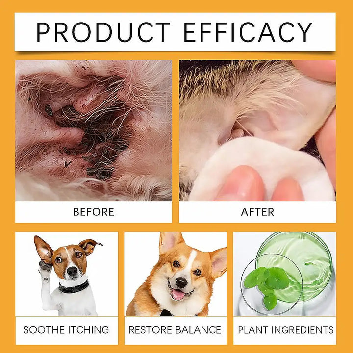 Drops for Yeast Infection On Dogs Ears