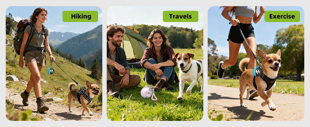 Dog Travel Water Bottle-Stainless Steel & Silicon - Leak-Proof & Compact