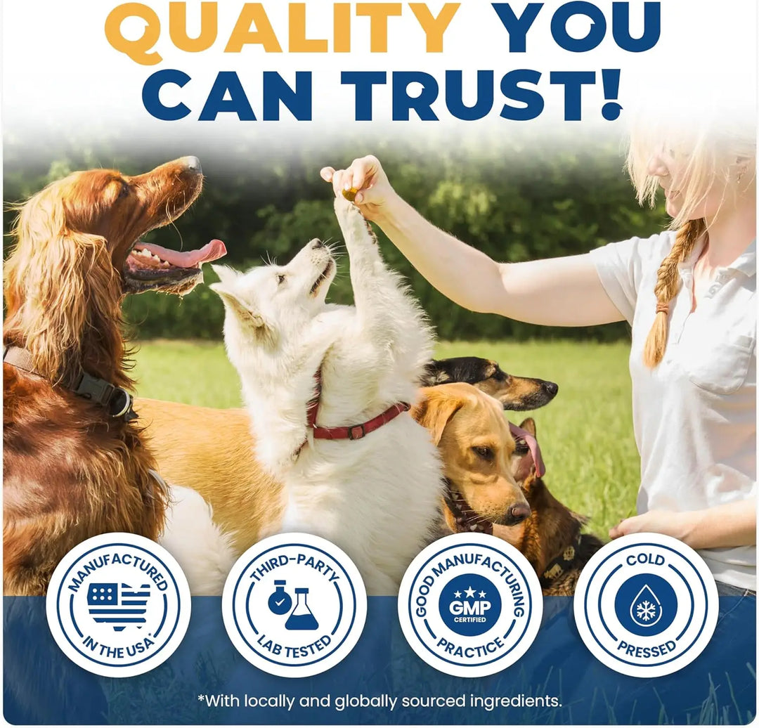 Hip & Joint Supplement for Dogs Joint