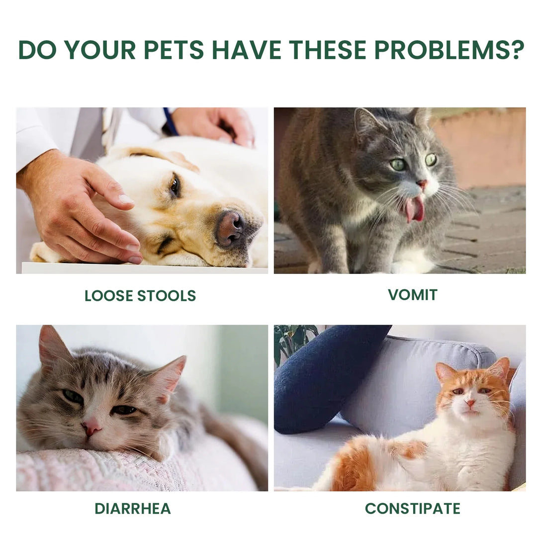 Bad Breath Solution for Cats and Dogs