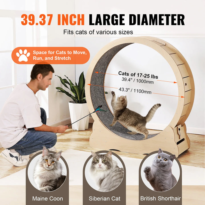 Indoor Cat Running Wheel with Detachable Carpet & Cat Teaser