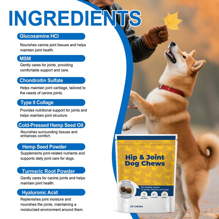 Hip & Joint Supplement for Dogs Joint