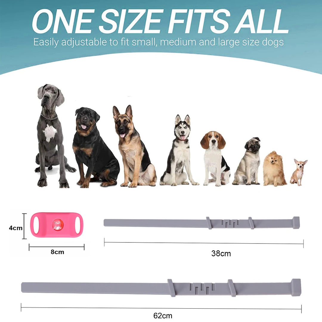 Natural Pet Flea & Tick Control Set Long-Lasting Parasite Prevention