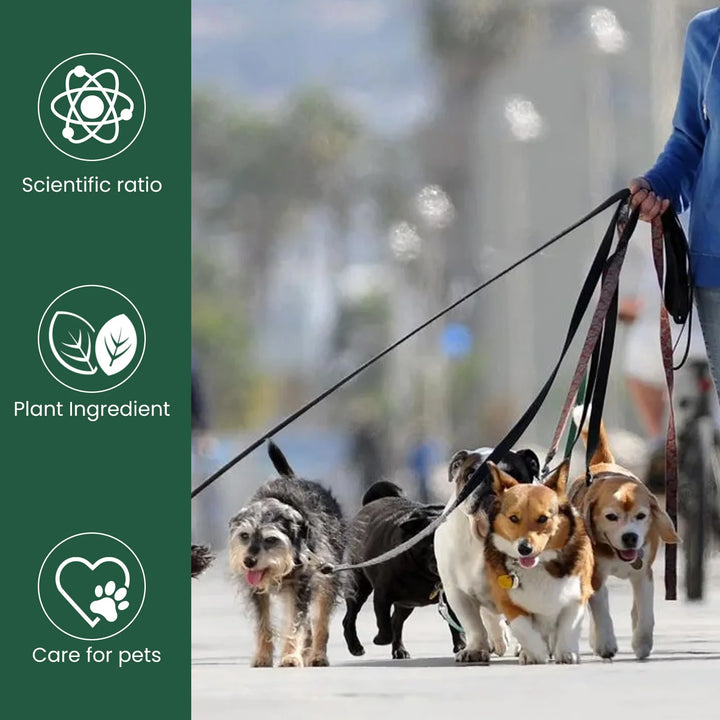 Bad Breath Solution for Cats and Dogs