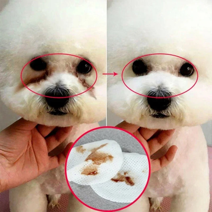 Dog and Cat Cleaning Wipes-Tear Stain Remover