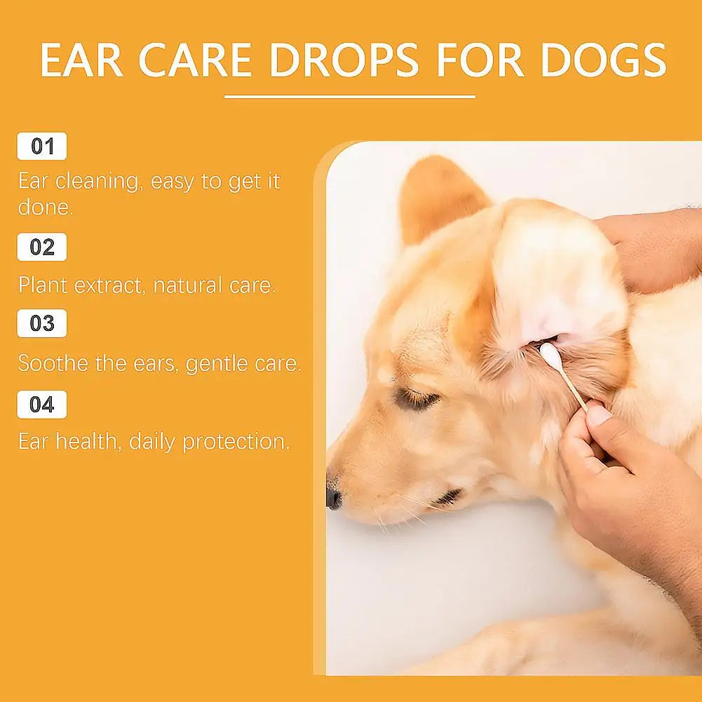 Drops for Yeast Infection On Dogs Ears