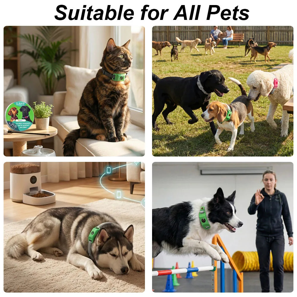 Natural Pet Flea & Tick Control Set Long-Lasting Parasite Prevention