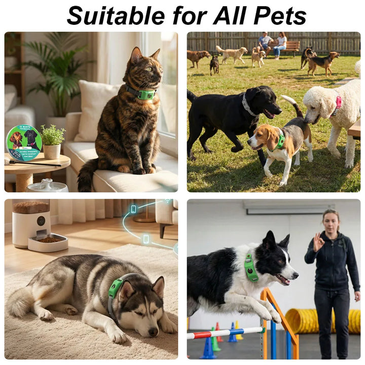 Natural Pet Flea & Tick Control Set Long-Lasting Parasite Prevention