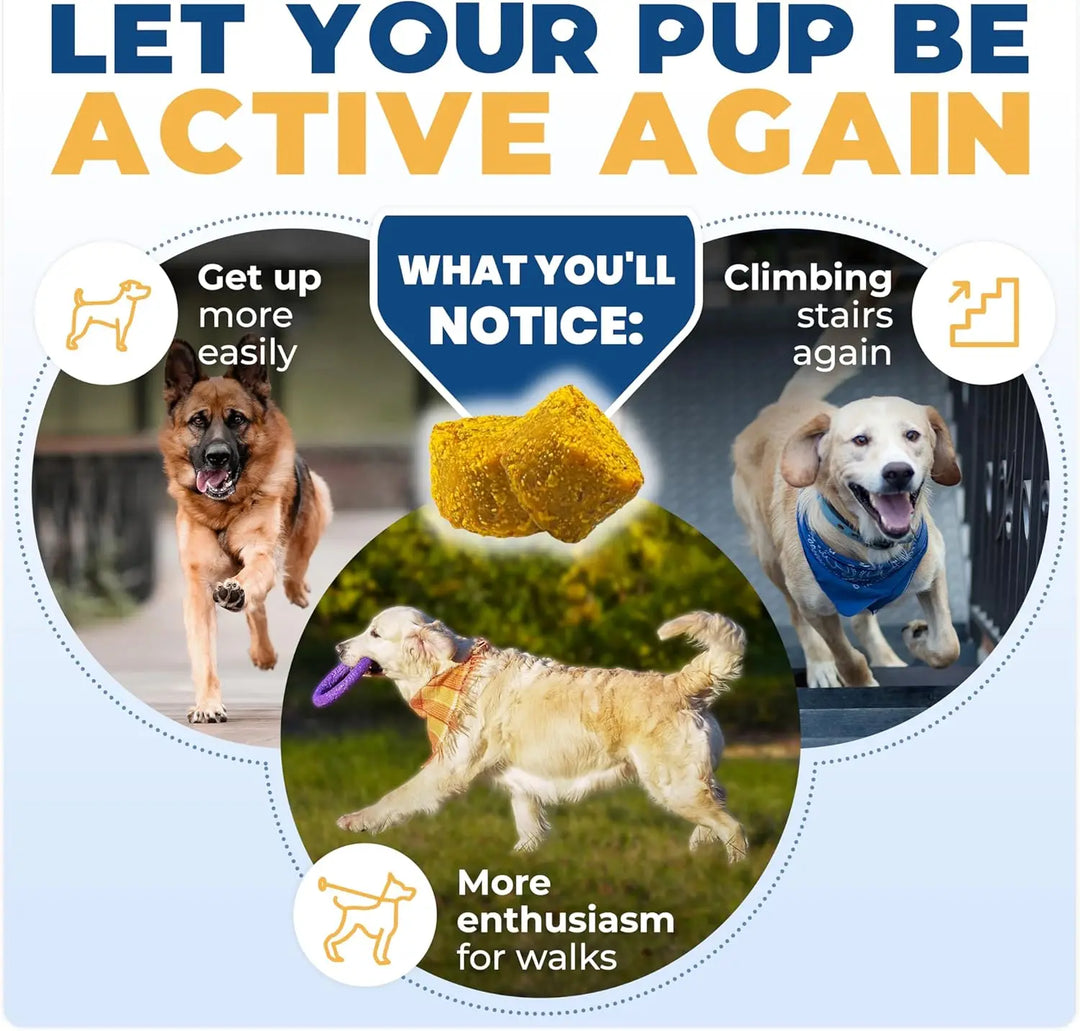 Hip & Joint Supplement for Dogs Joint