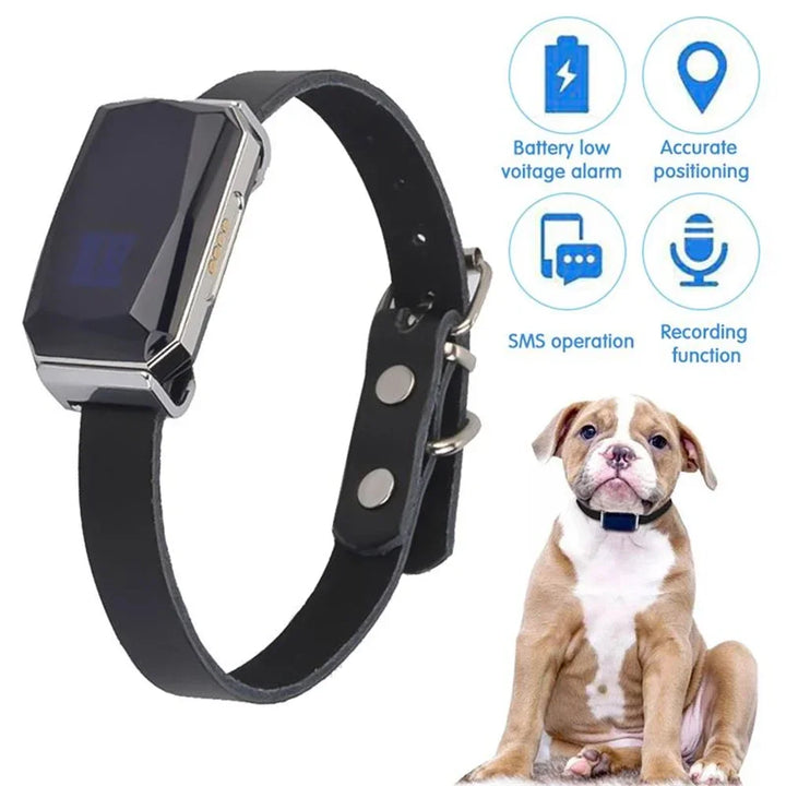 Smart Gps Pet Tracker Collar Real-Time Tracking 5m Accuracy Waterproof