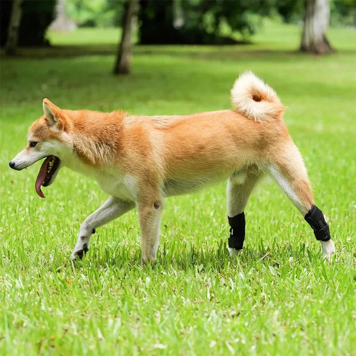 Arthritis Support Protector Bandage For Dog Legs