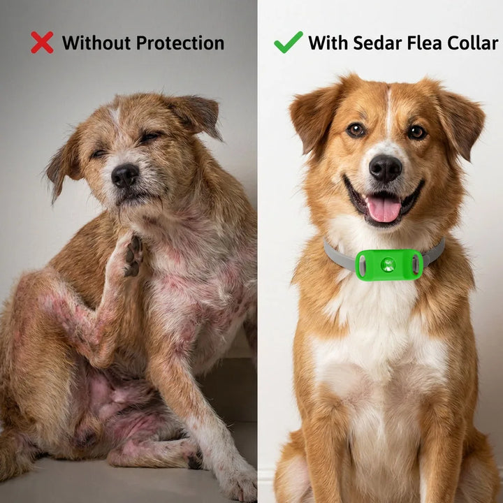 Natural Pet Flea & Tick Control Set Long-Lasting Parasite Prevention