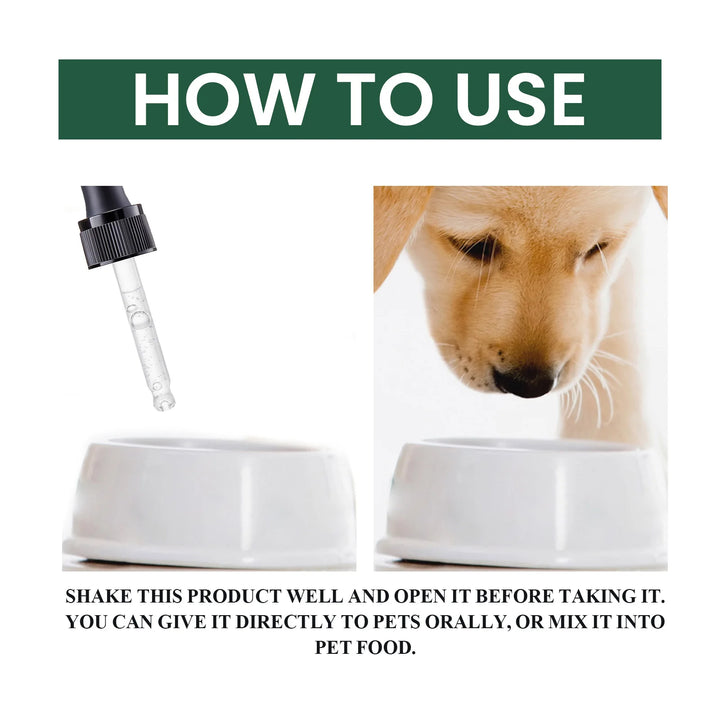 Bad Breath Solution for Cats and Dogs