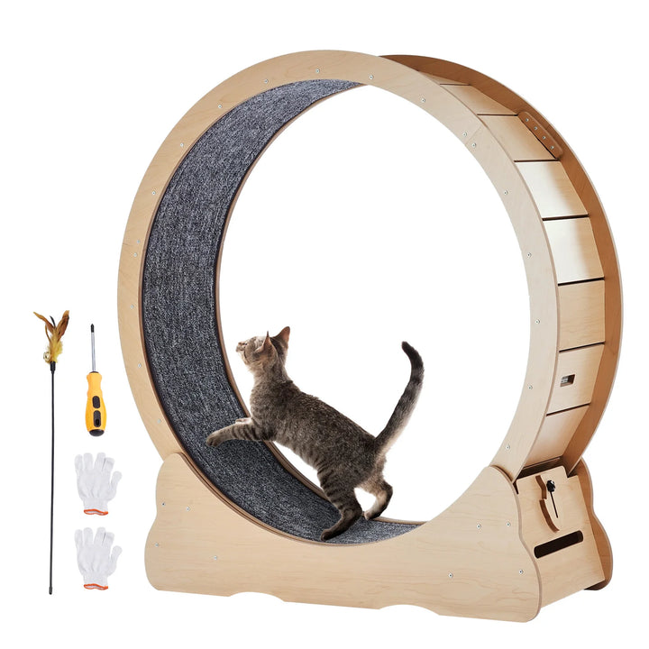 Indoor Cat Running Wheel with Detachable Carpet & Cat Teaser