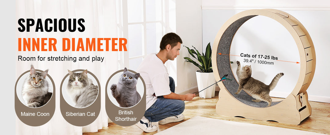 Indoor Cat Running Wheel with Detachable Carpet & Cat Teaser